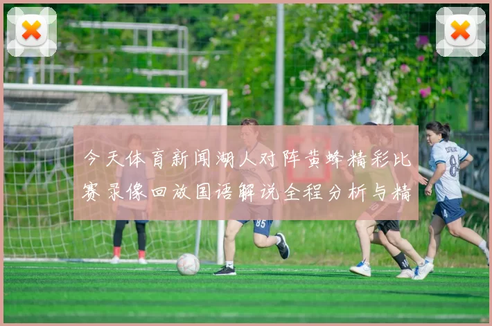 今天体育新闻湖人对阵黄蜂精彩比赛录像回放国语解说全程分析与精彩瞬间回顾